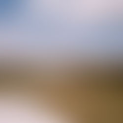 Leica CL: The perfect travel film rangefinder camera?