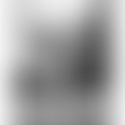 2019 Revisited: Walk & Walk 