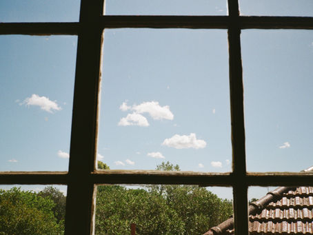 Contax T3: Justifying The Price of a Point & Shoot Film Camera