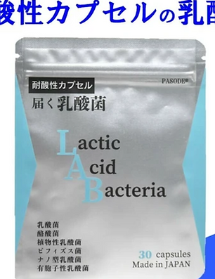 乳酸菌ビフィズス菌.png