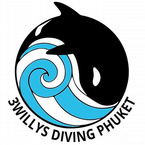 willy1.jpg