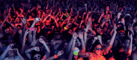 festival.gif