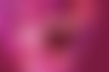 roast marshmallows on dem flames. ️‍🔥