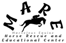 Untitled (7).png