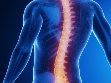 Die energetische Aufrichtung der Wirbelsäule