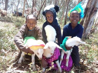 Is Halloween A Christian Holiday? Do Goats Wear Costumes?
