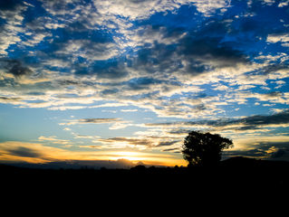 Dreams are universal.