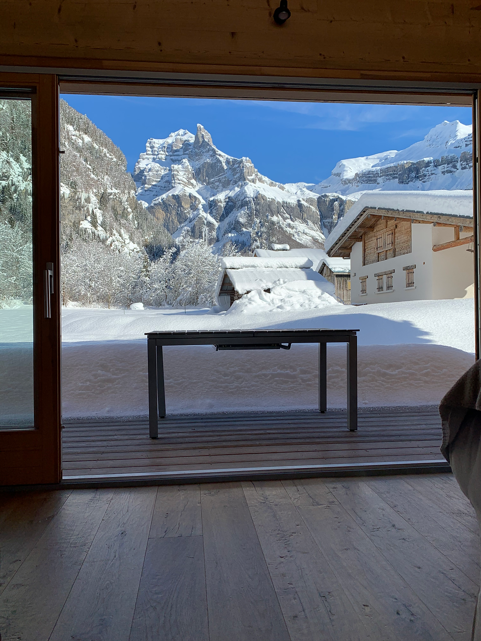 Vue sur les montagnes