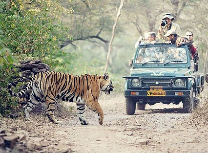 raja ji.jpg