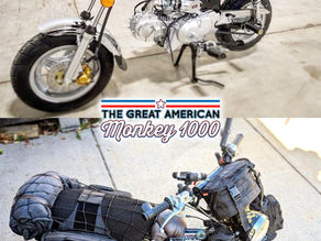 The Great American Monkey 1000 Survival Guide: A Highly Questionable User Manual for Slightly Smarter Decisions