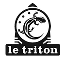 triton black.png