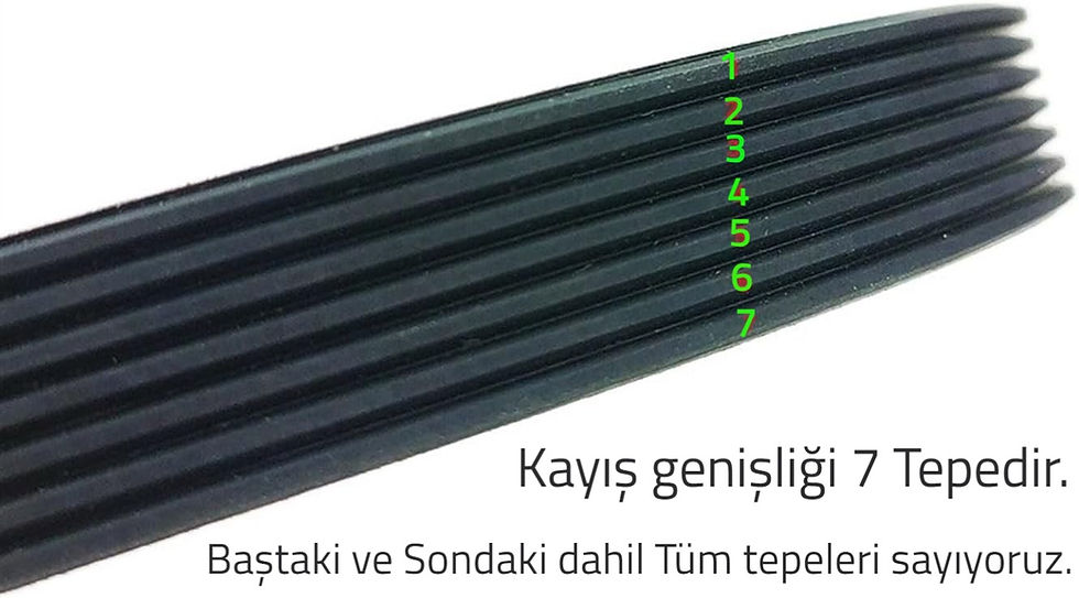 Küçük resim: Koşu Bandı Motor Kayışı