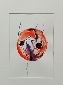 GRAINE 14