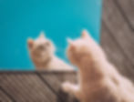How to Write a Storybrand Website: The About Page | Ink and Key