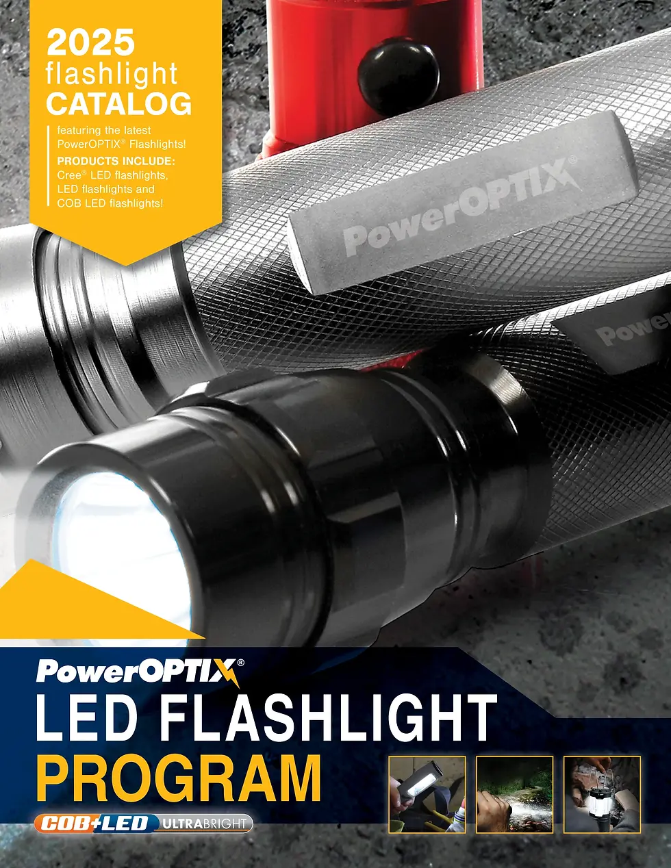 032-PowerOPTIX Flashlight Program_NP.webp