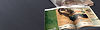 Catalogs.jpg
