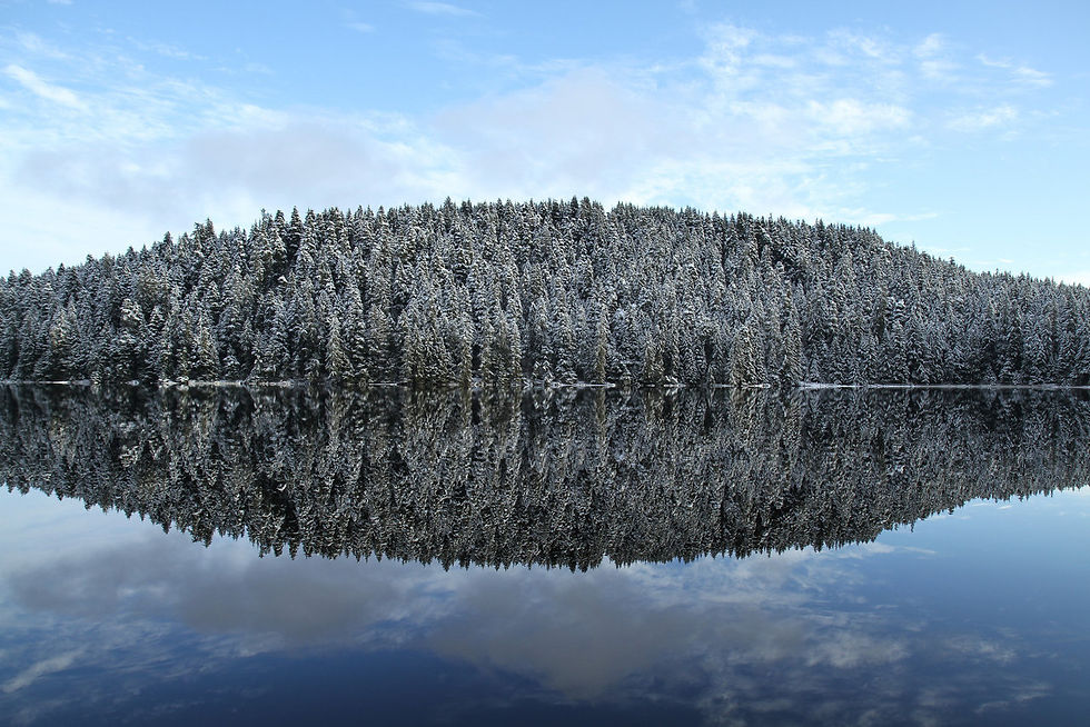 Reflection of Pederson Hill