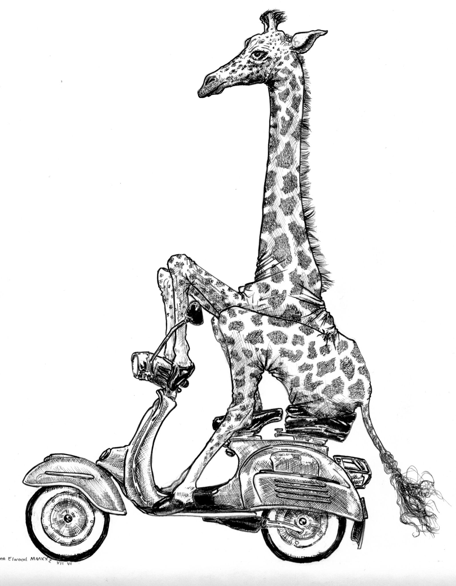 Giraffe on Vespa