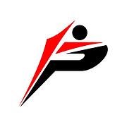 Pro Training Basketball logo