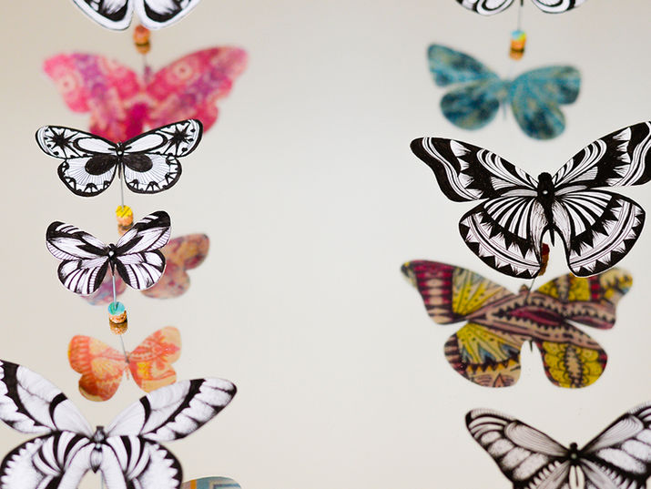 Mariposas Reflejadas