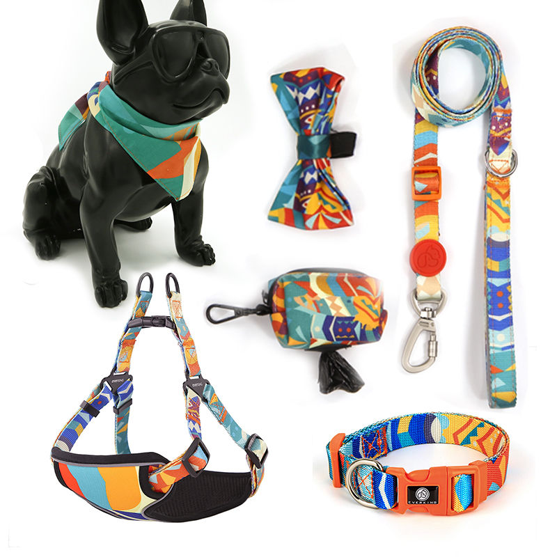 French Bulldog in colorful harness, leash, and bandana
