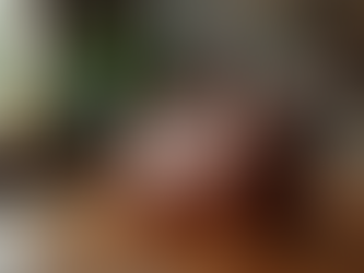 Discover the Elegance of Luxury Handbags