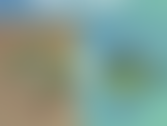 Beyond Location | Key Differences in TDI City Kundli Plots vs One Prastha