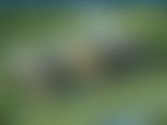 Lifestyle & Location at One Prastha Sector 91 Sonipat