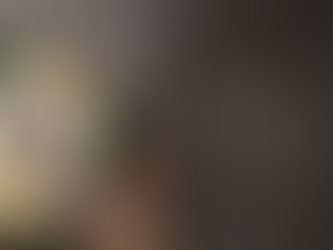 Merry Christmas & Happy New Year!