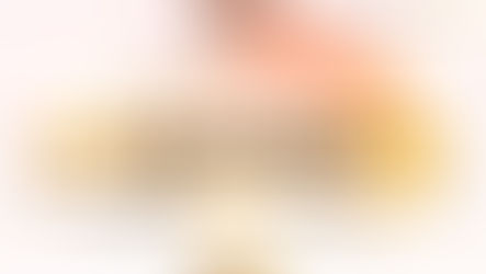 IBSC Announces New Vice-Directors