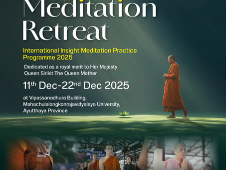 🌳International Insight Meditation Practice Program 2025 ✨