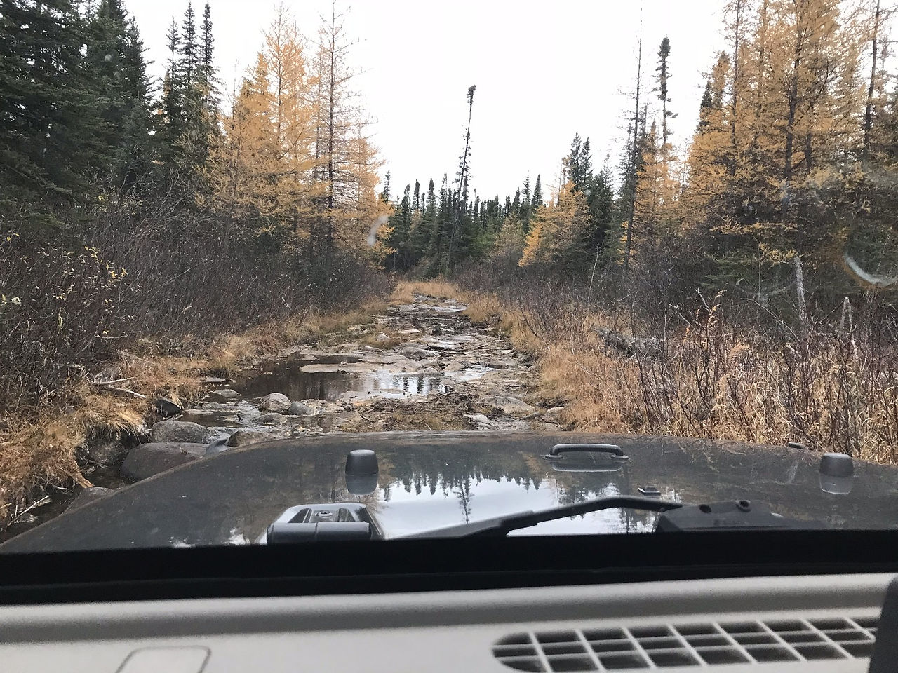Starting out on a New rail