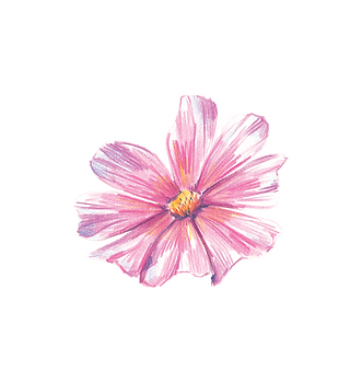 sticker cosmos test.png