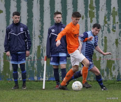 41-_DSC7223-FILEminimizer