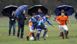 59-_DSC7307-FILEminimizer