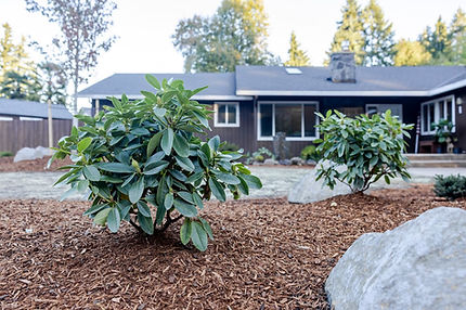 Bark dust, plants and accent boulders 33.jpg