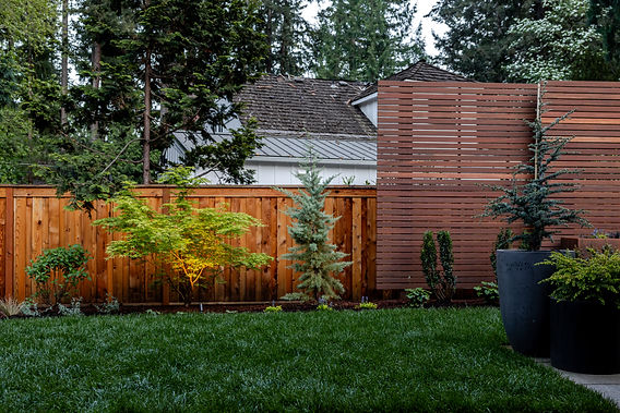 Cedar Fence 3.jpg