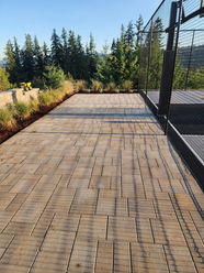 Landscaping, Pathways, plants and irrigation installation in Ridgefield Washington