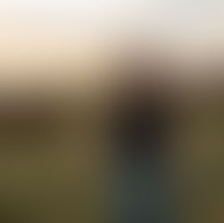 The 4 Pillars of Health We Focus On When We Work Together