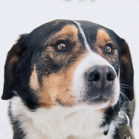 Кирюша дома!