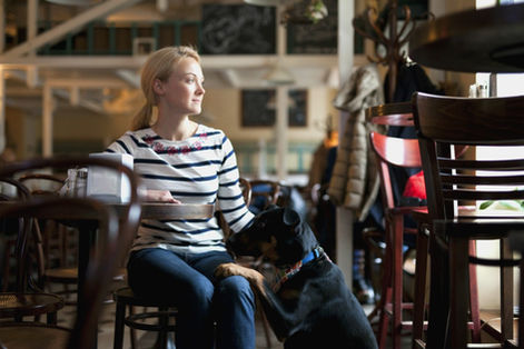 "Бобры и утки" на Чистопрудном бульваре