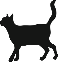 Black Cat Silhouette