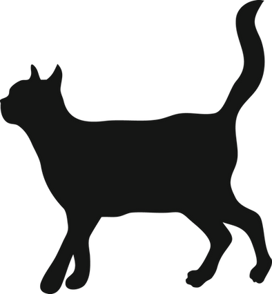 Black Cat Silhouette