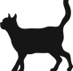 Silhouette de chat noir