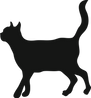 Black Cat Silhouette