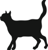 Black Cat Silhouette 