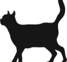 Black Cat Silhouette 