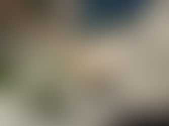 Boy Collection Features Unique and Complex Fragrance Blends