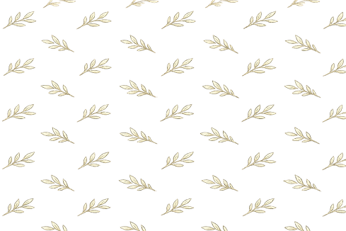 ChatGPT Image Apr 22, 2026, 12_02_26 PM.png
