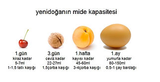yenidoÄŸan mide kapasitesi(1).jpg